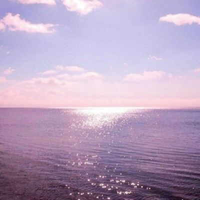 阴阳师日服下载