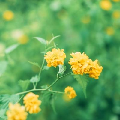 霸者传奇破解版下载
